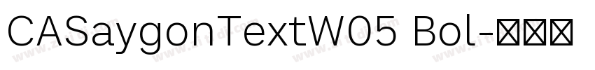 CASaygonTextW05 Bol字体转换
